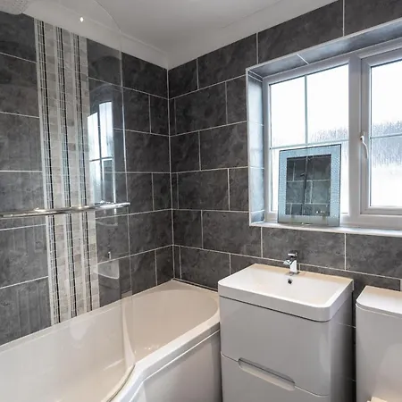 October Disc - Long - Contractors