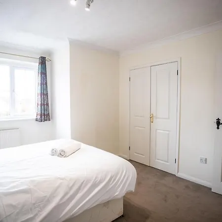 October Disc - Long - Contractors