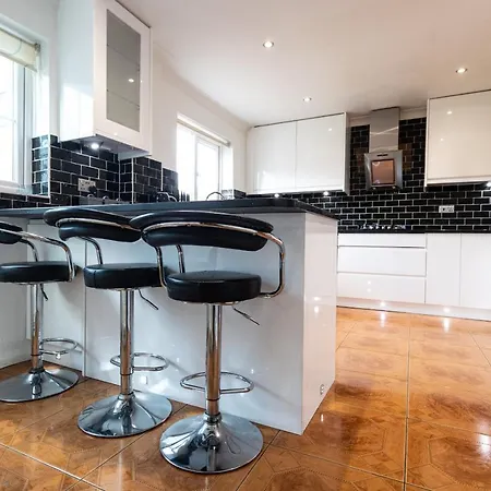 October Disc - Long - Contractors