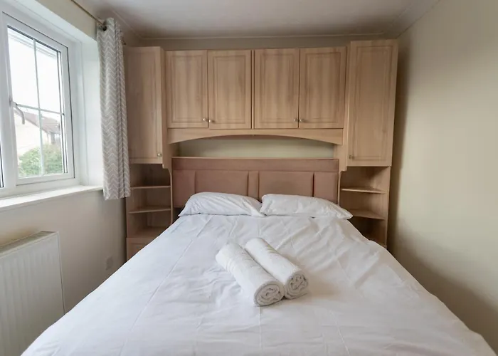 October Disc - Long - Contractors