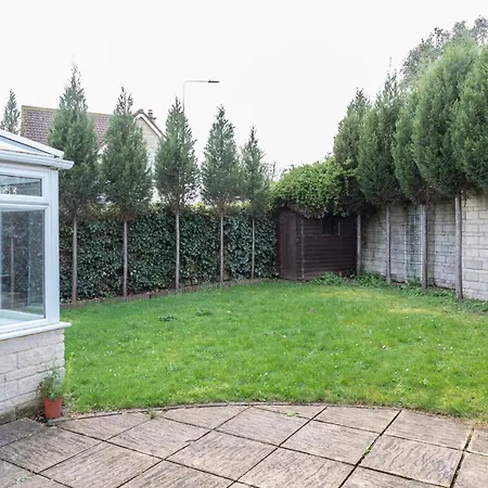 October Disc - Long - Contractors