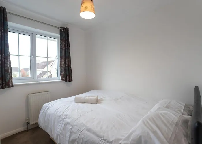 October Disc - Long - Contractors *