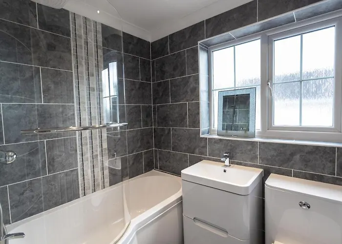 October Disc - Long - Contractors