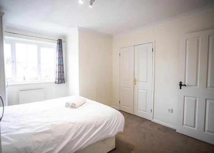 October Disc - Long - Contractors